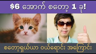 💰📈$6 အောက် စတော့ 1 ခု! ငွေ ဘယ်လောက် လိုလဲ? အမြတ် ဘယ်လောက် အချိန်တိုအတွင်း ရနိုင်လဲ။ စတော့ရှယ်ယာ