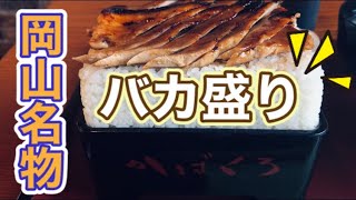 閉業【岡山県岡山市】豚の炭火蒲焼き🐷超デカ盛り現る【\