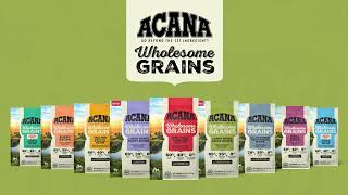 ACANA USA Wholesome Grains for Dogs