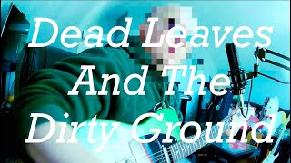 Dead Leaves And The Dirty Ground (2001)- The White Stripes (cover/ guitar vocal only)