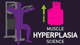 Do You Gain MORE Muscle Fibers With Training? (Research Overview)