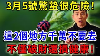 今年驚蟄不一般，3月5日，牢記「2個地方」千萬不要去，否則事事不順，還會破財損健康！ |一禪語 #運勢 #風水 #佛教 #生肖 #佛語禪心