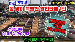 #화분 판매 3월 6일 마진 포기!!! 봄맞이 특별한 할인판매 1편 #다육화분 12개 골라서 무조건 40,000원 판매 #수정다육 010.7417.0793 5만원이상 무료배송