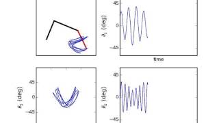 Rott's Pendulum with Timeseries