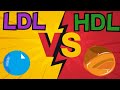 LDL VS HDL - QUICK SUMMARY