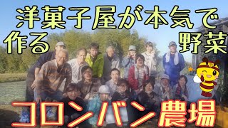 【原宿みっころ】はにはにチャンネル＃8  【特別栽培農産物】社員が作る農薬不使用野菜　コロンバン農場