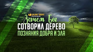 Зачем Бог сотворил дерево познания добра и зла? | \