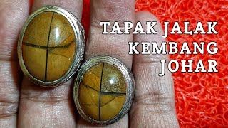 TAPAK JALAK KEMBANG JOHAR