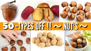 50 - Types Of Nuts / Catagory Nuts / Variety Types Of Nuts / Tree Nuts / Nuts Classification /