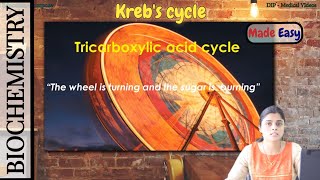 Biochemistry | Carbohydrate Metabolism | Understanding the Kreb's Cycle | Dr. Apeksha Niraula