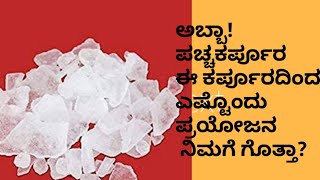 ಕರ್ಪೂರ ಪಚ್ಚ ಕರ್ಪೂರದಿಂದ ಏನೆಲ್ಲಾ ಉಪಯೋಗ ಇದೆ ಗೊತ್ತಾ?pacha karpoora| camphor tips in kannada