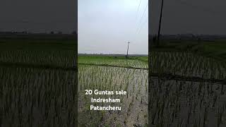 20 Guntas Agriculture land sale| Indresham|Inole|patancheru|9.9lakhs per gunta|patta land|9441739133