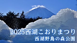 2025西湖こおりまつり 西湖 野鳥の森公園 | Ice Festival 2025 ｜山梨観光スポット