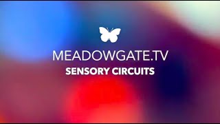 MTV SENSORY CIRCUITS