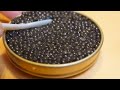 이 놈 한 마리 가치가 무려 1500만원 세계 3대 진미 캐비어가 만들어지는 과정  How caviar is made   Korean street food