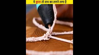 इस गजब की कलाकारी को देखकर आप हैरान हो जाओगे #shorts #viral #trending #youtubeshorts #dog #creative