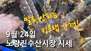 [최신시세정보] 킹크랩 가격이 완전 좋네요 ~^^  9월24일 노량진 수산시장