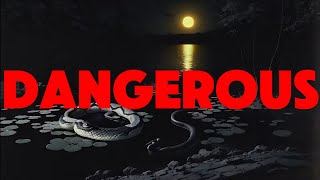 DtC - DANGEROUS ○○ (OFFICIAL VIDEO)