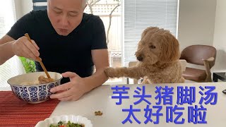 阿婆私房芋头猪脚汤 太下饭了  阿公说说笑笑继续补墙 今天打磨  【Garden Time 田园生活分享】2020 12