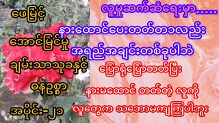 အောင်မြင်မှု ချမ်းသာသုခနှင့် ဓနဥစ္စာ အပိုင်း ၂၁