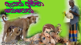 ඇයත් අම්මා කෙනෙක්/ sinhala short story/Audio kathaa/ ketikathaa sinhala/New Nowel sinhala