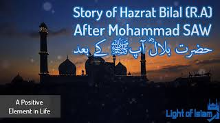 Story of Hazrat Bilal (R.A) After mohammad S.A.W Maulana Tariq Jameel | Very Emotional