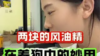 两块多风油精在养狗中的妙用 养狗经验分享 科学养宠攻略 狗狗 科学喂养