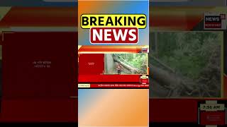 Kaliabor Thunderstorm | কলিয়াবৰৰ আঞ্জুকপানী- ডিজুভেলীত ধুমুহাৰ তাণ্ডৱ | #shorts