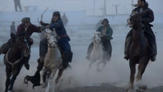 Afghanistan's buzkashi horses prepare for battle