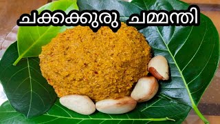 ചക്കക്കുരുകൊണ്ട് ചമ്മന്തി||ചമ്മന്തി||ചക്കക്കുരു||jackfruit seed||ur creation rekha's kitchen||