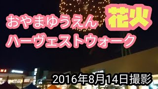 おやまゆうえんハーヴェストウォーク  花火