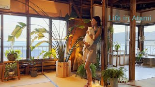 #61 植物とネコまみれの休日🪴｜涼を求めて「水の都」へ｜Life in Atami