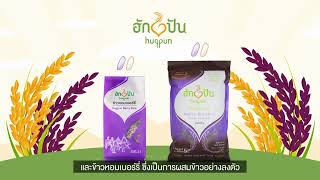 ทำไมข้าวไรซ์เบอร์รี่ขัดสีน้อยฮักปัน ถึงมีน้ำสีม่วงเข้ม?