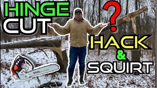 Hinge Cutting vs. Hack & Squirt | Whitetail Deer Habitat Improvement |