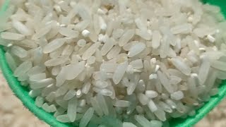 ASMR RAW RICE EATING SOUNDS makan beras mentah suapan full porsi banyak seglangsing