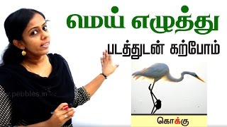 மழலையர் பாடம் | Preschool Tamil | மெய் எழுத்து உதாரணம் | Mei Ezhutthukkal | About Consonants