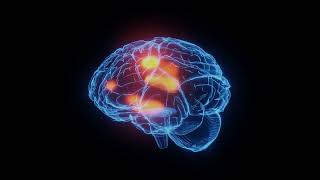 3D visualization for Brain Waves