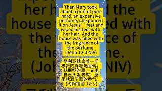 John12:3 read in Mandarin Chinese#Bible#Chinese #mandarin