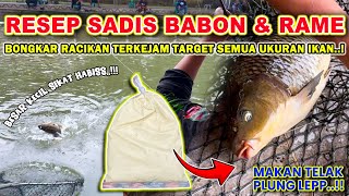 RACIKAN UMPAN INI SIKAT HABIS BABON \u0026 RAME !! RESEP UMPAN IKAN MAS TERBARU LOMBA GALAPUNG ❗❗