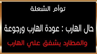 توأم الشعلة : عودة الهارب ورجوعة والمطارد يشفق علي الهارب #توأم_الشعلة #طاقة_الهارب