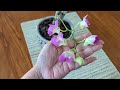 MY 3 ORCHIDS PICKS FOR BEGINNERS ❣️