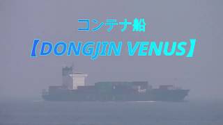 コンテナ船　【DONGJIN VENUS】