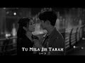 tu mila jis tarah lofi song tu mila jis tarah shaba mile lofi slowed reverb song lofi 2.0