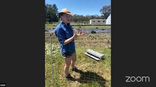 SustainaDilly Online:  Keeping Chickens and Quails with Lizzie Buscaino from Piccolo Farm