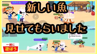 【一緒に遊ぼう】playtogether 新しい魚　見せてもらったよ　アップデート　ベルーガ　ゾウアザラシ　エチゼンクラゲ　ロブスター　クリオネ　魚釣り