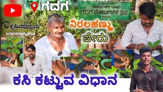 ಕಸಿ ಕಟ್ಟುವ ಸುಲಭ ವಿಧಾನ | ಗದಗ ತೋಟಗಾರಿಕೆ ಇಲಾಖೆ #ಗದಗ #krishimadyama #grafting  #Basavarajmeti