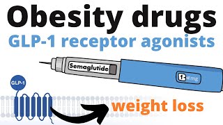 Wegovy, Ozempic and others... How weight loss injections work