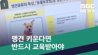 [스마트 리빙] 맹견 키운다면 반드시 교육받아야 (2019.04.13/뉴스투데이/MBC)