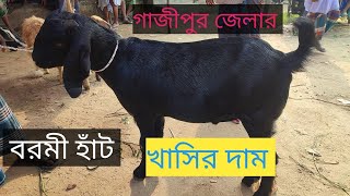 বরমী হাঁট।। ১৯ অক্টোবর  ২০২২ ইং  বুধবার।। ছোট বড় সব ধরনের খাসির দাম জানুন