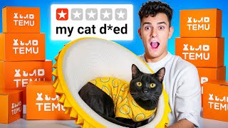I tested the Weirdest Cat Products from TEMU...